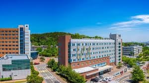 Bachelor of Sports Business at Korea University - image 1